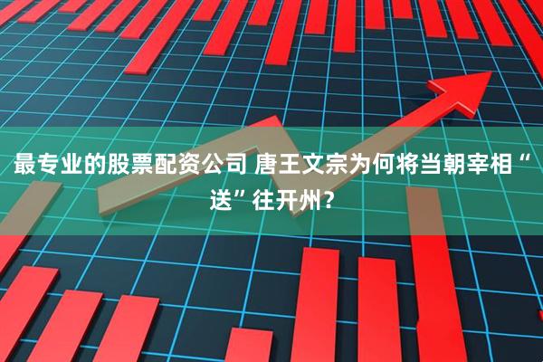 最专业的股票配资公司 唐王文宗为何将当朝宰相“送”往开州？